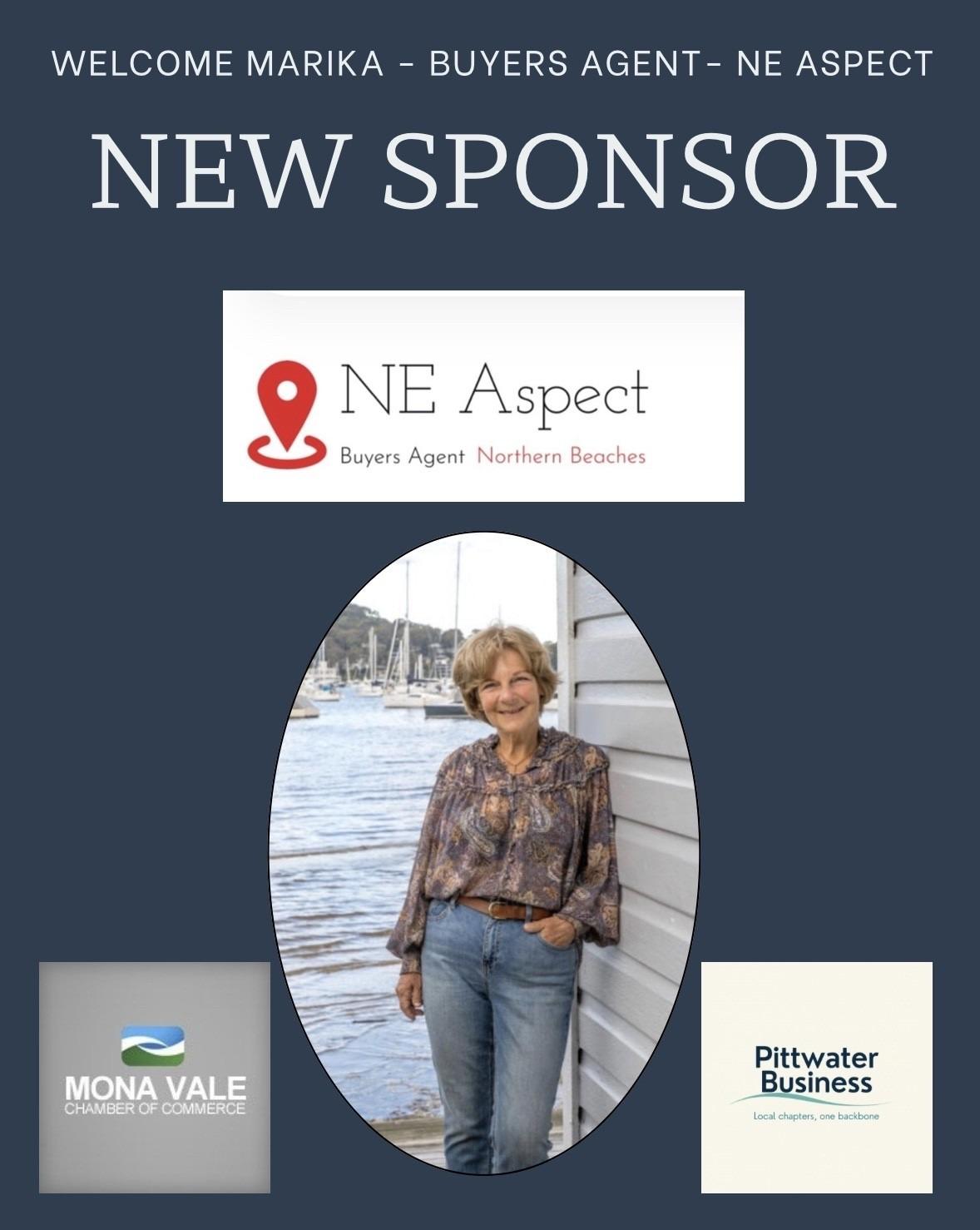 Welcome NE Aspect as New Chamber Sponsor!